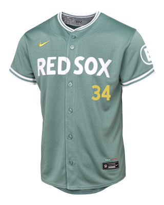 David Ortiz Boston Red Sox Big Kids' Nike Dri-FIT MLB Limited